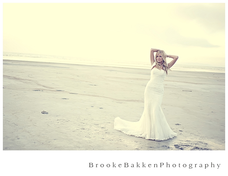 Utah Wedding Photographer