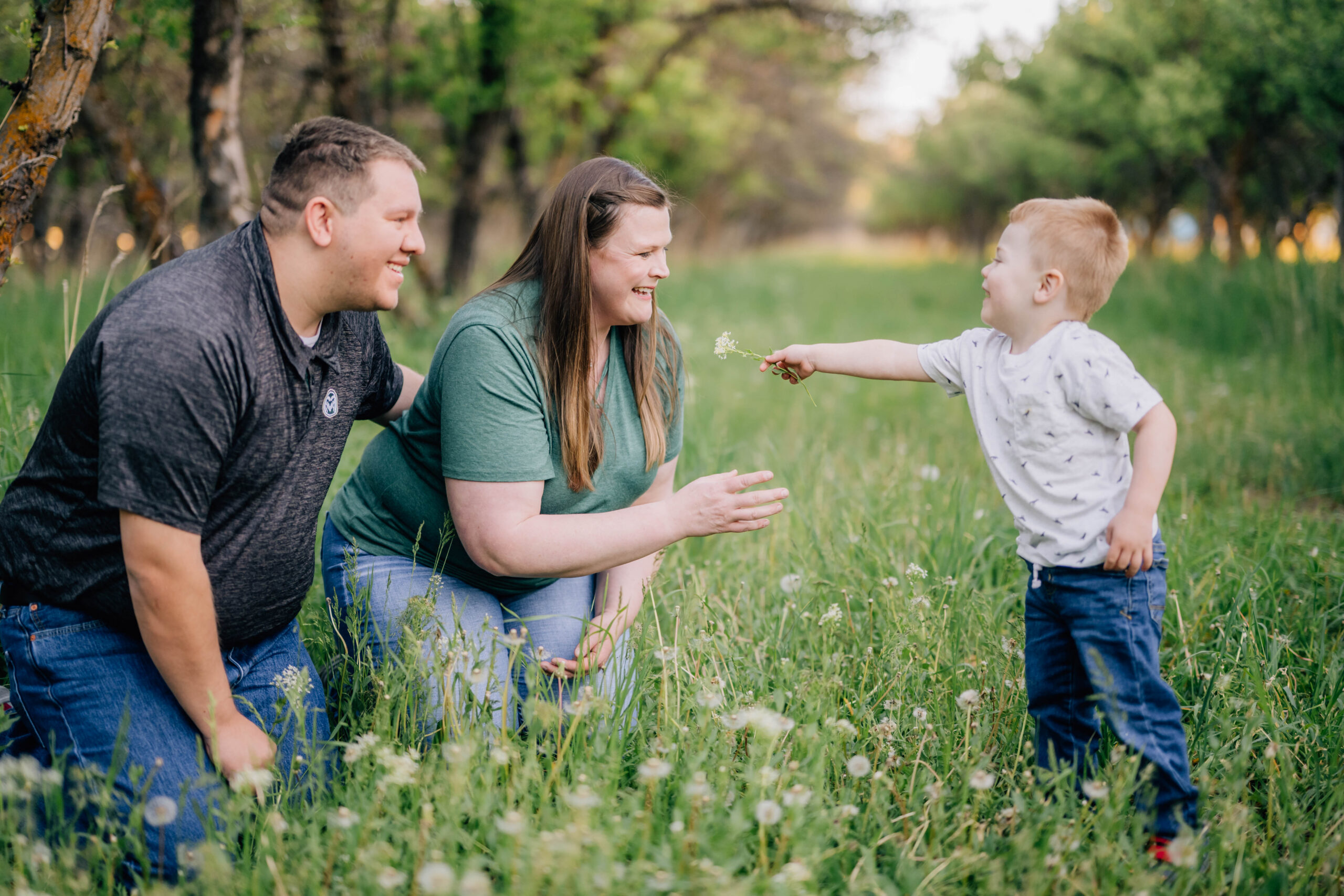 Little boy picking wildflowers with his parents during a summer family session