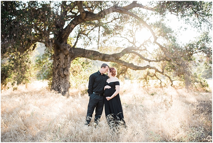 Beautiful sunlit tree backs a couple kissing | Brooke Bakken | Maternity and Family Photographer
