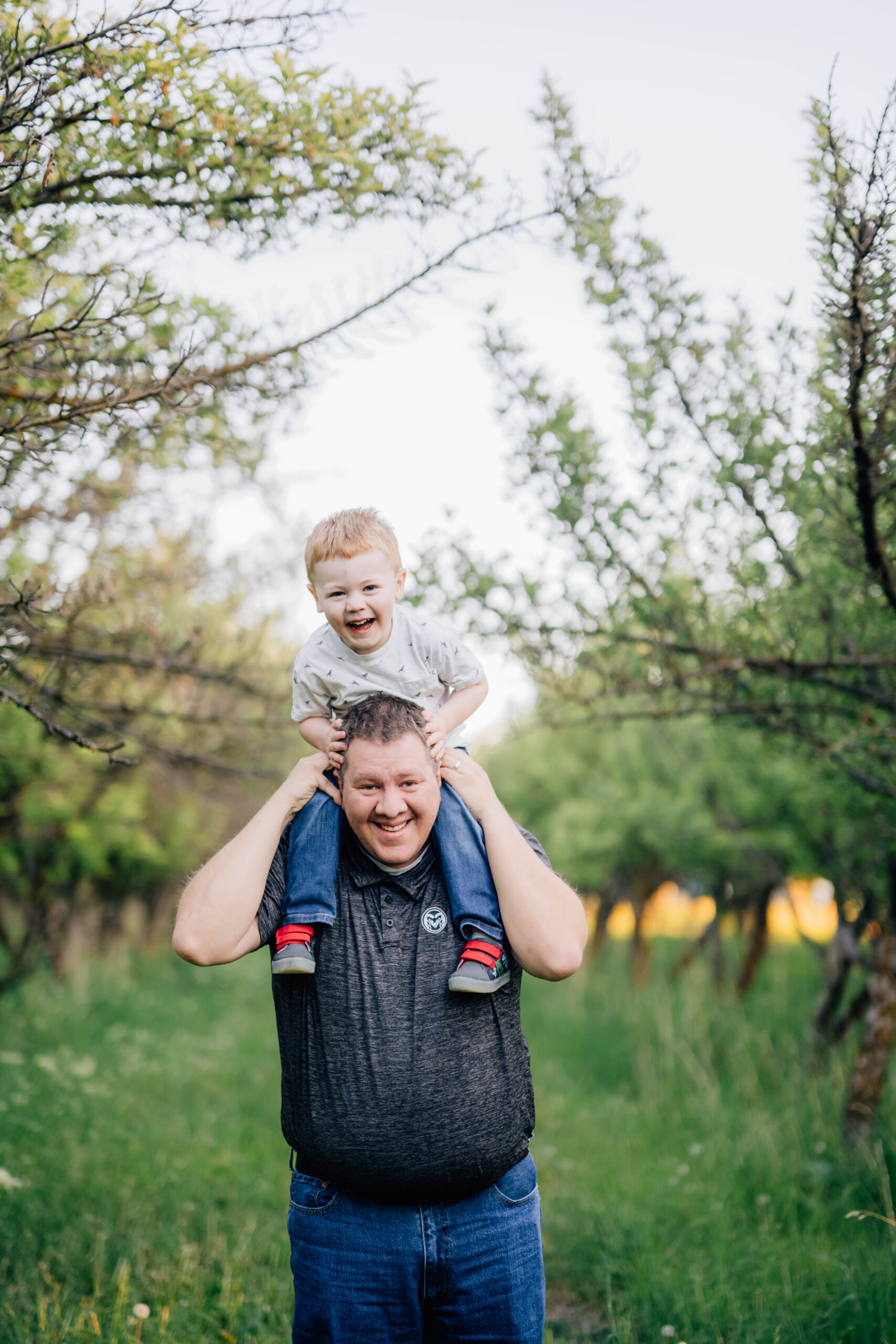 Toddler on dad's shoulders during a summer family photography session